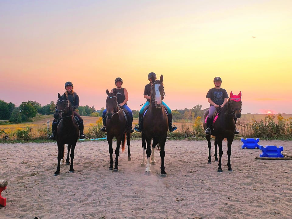 Windfall Acres- Barn Family | Facebook