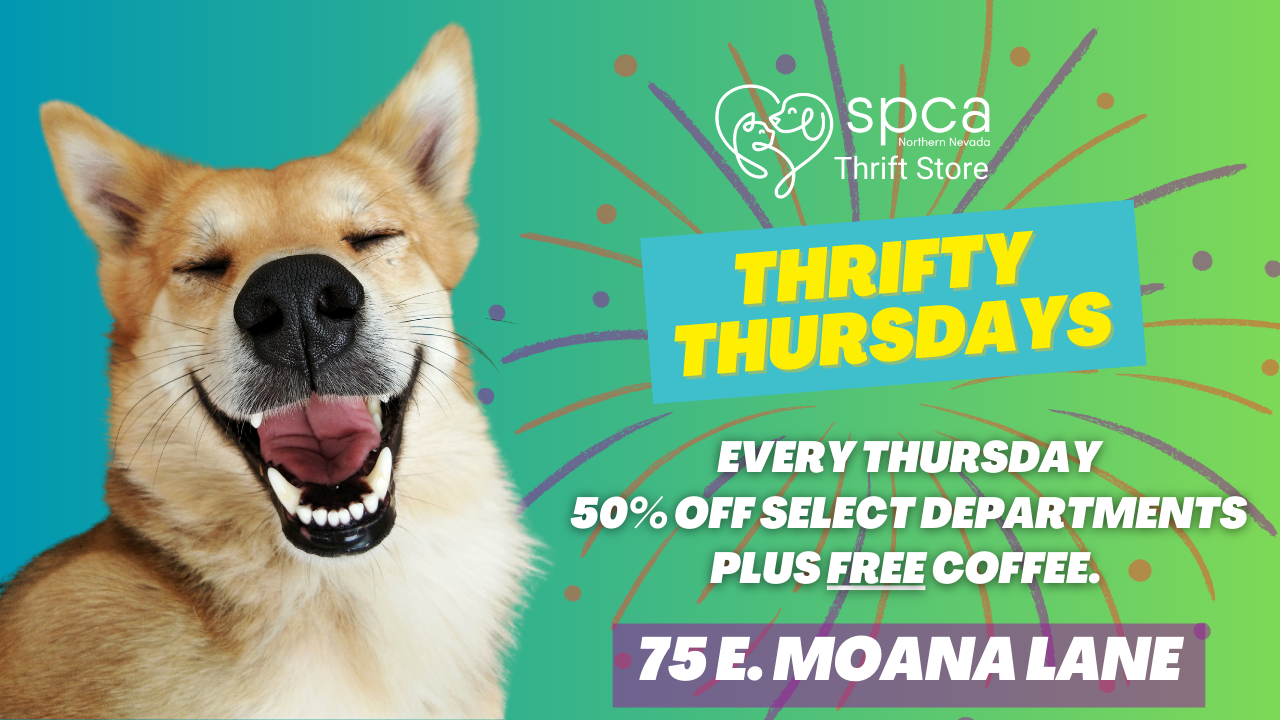 SPCA of Northern Nevada | Reno NV