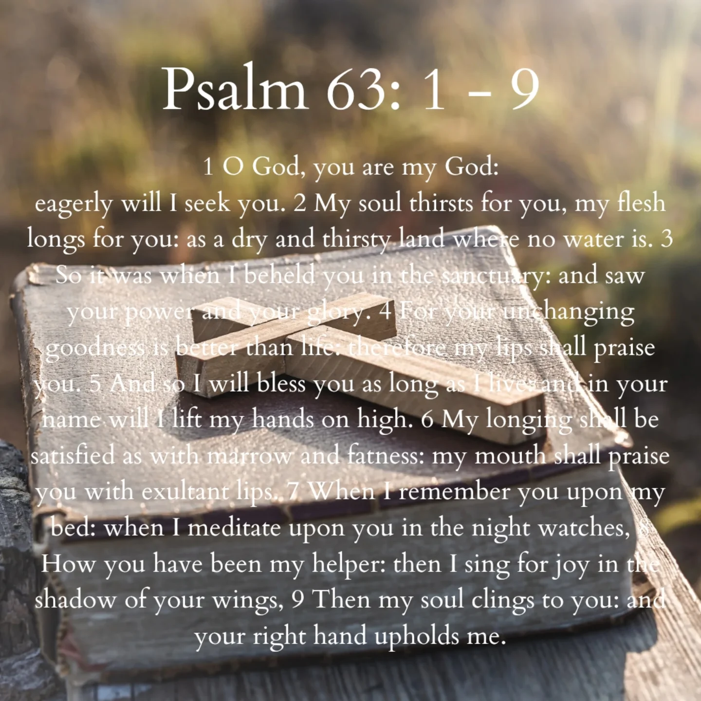 St. - Bible Verse of the Day ~ Psalm 63: 1 - 9 📖 #BibleVerseOfTheDay # ...