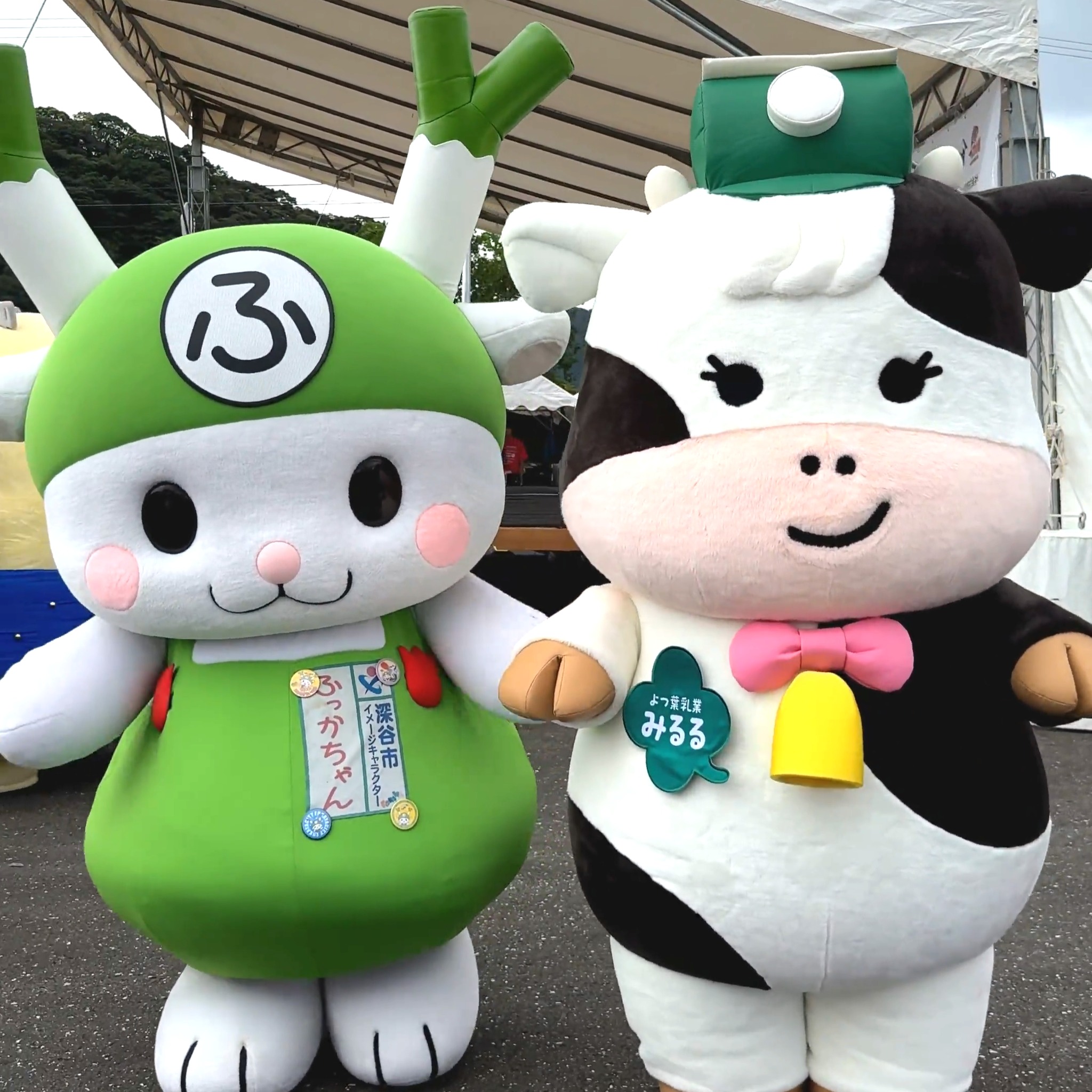 こんにちは❗ よつ葉乳業広報社員のみるるです❗ #ご当地キャラまつり