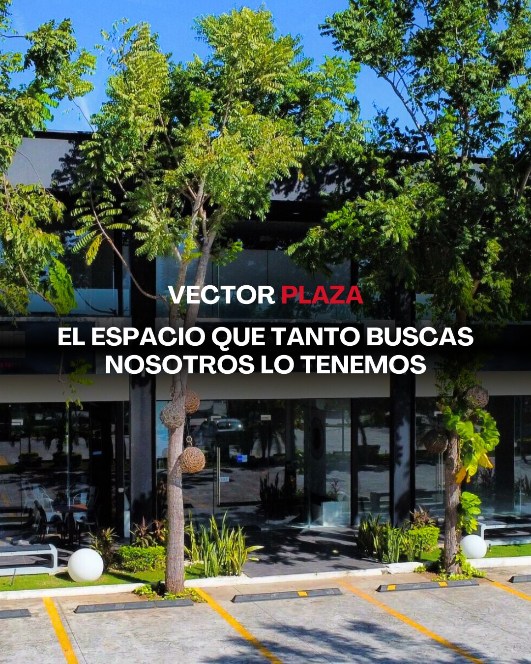 Vector - 🏢 ¡Tu negocio merece estar en Vector Plaza! ¿Estás buscando el ...