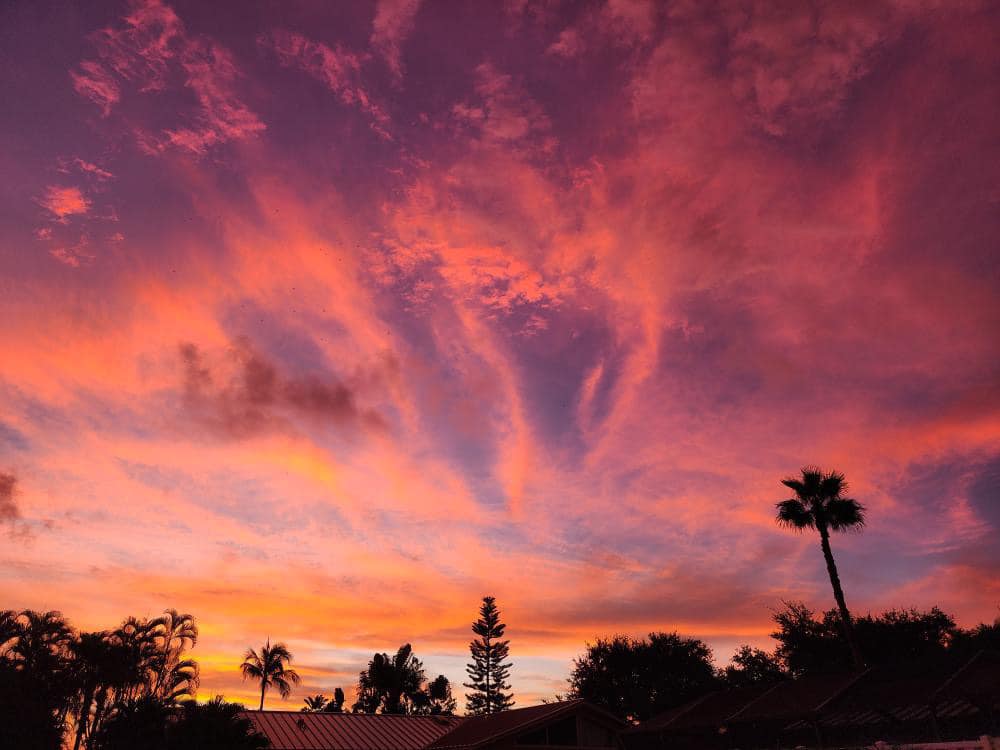 トーマス・ガラー Palm Trees, Sunsets, Turmoil Florida sunsets are the best. Thomas Kupillas caught the moment