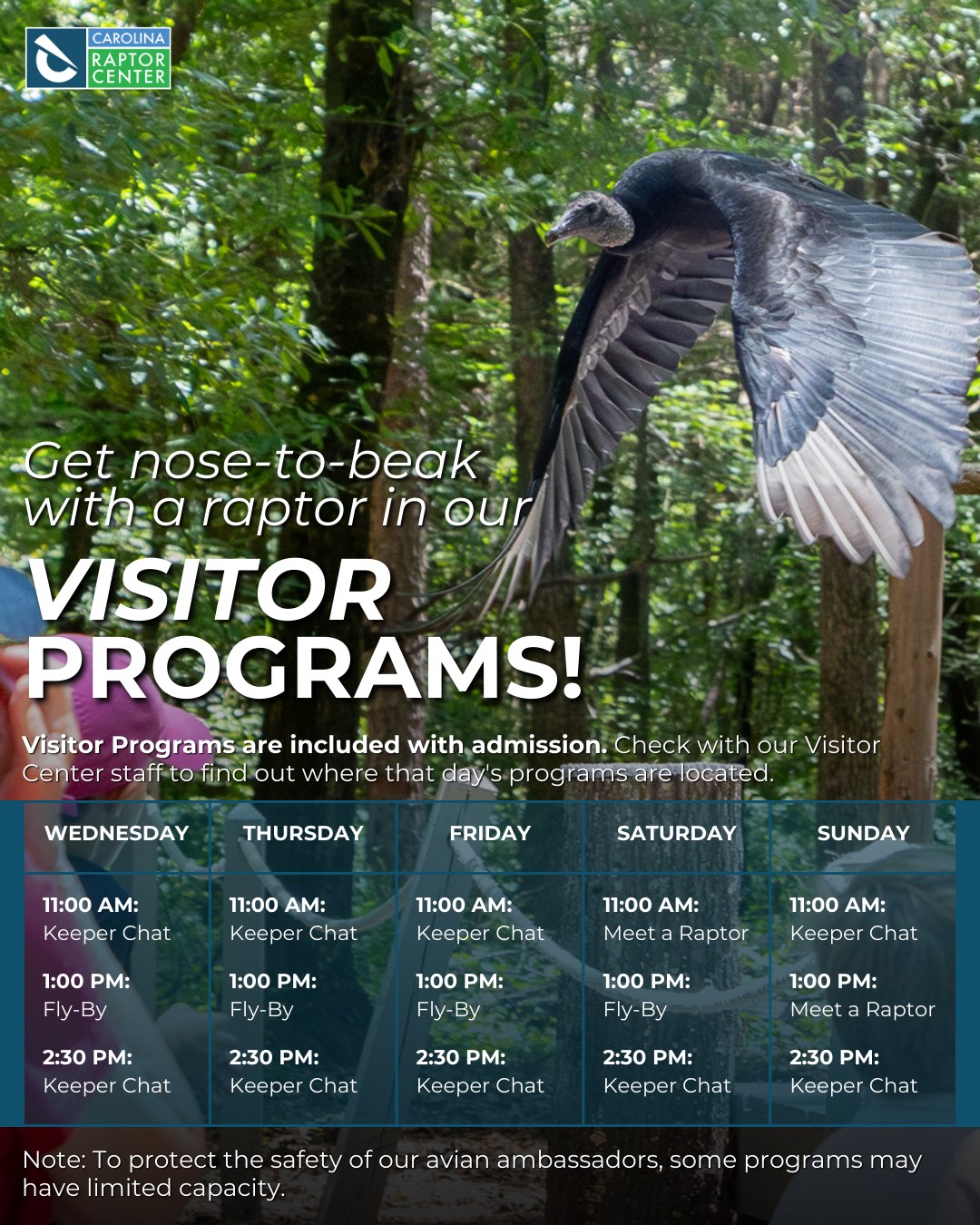 Carolina Raptor Center | Huntersville NC