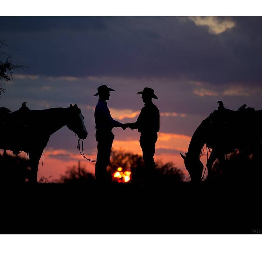 Corriente Connection | 18 open Corriente cows for sale | Facebook