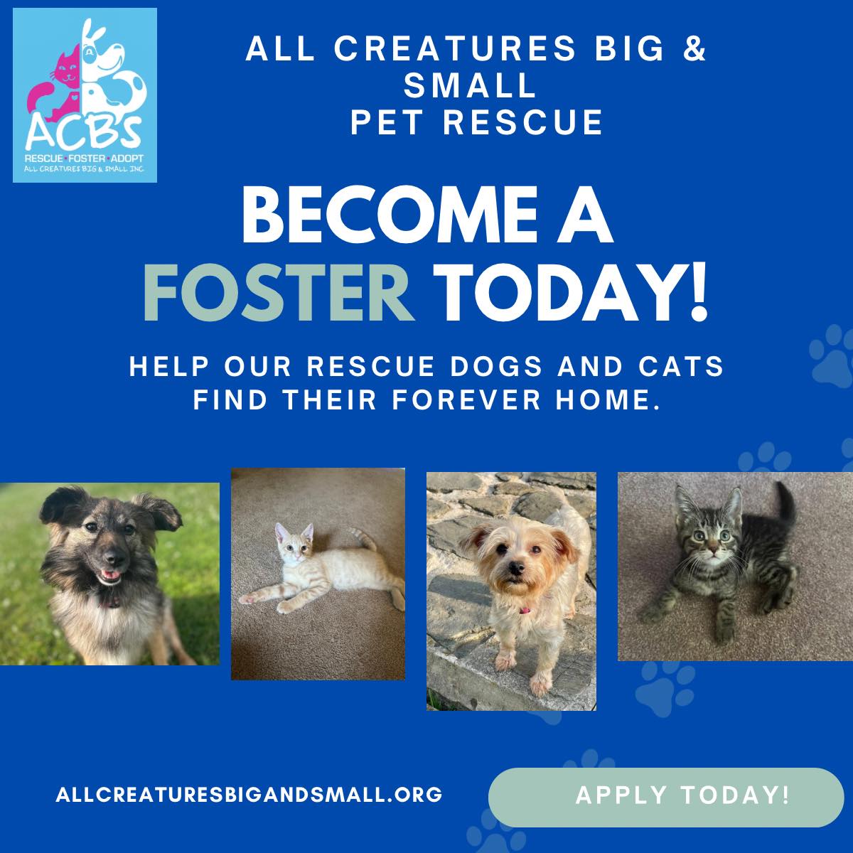🐶 Join the ACBS... - All Creatures Big and Small Pet Rescue | Facebook
