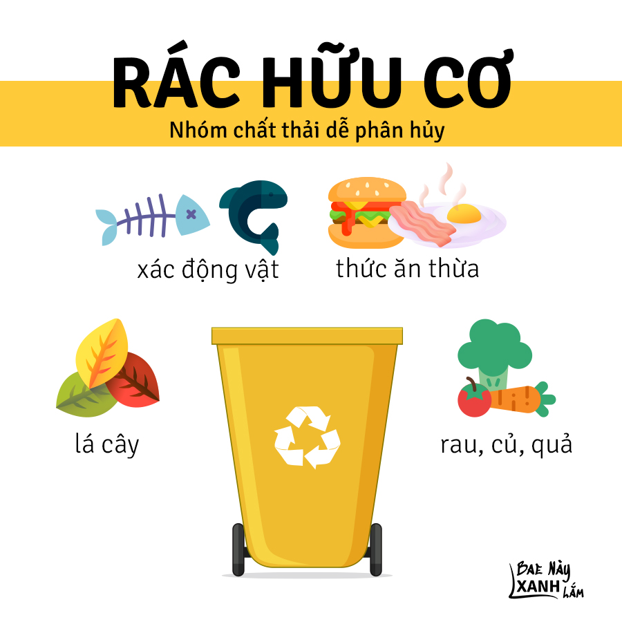 Bae - 🟡 1. Rác hữu cơ: Là loại rác dễ phân hủy và có thể tái chế để đưa ...