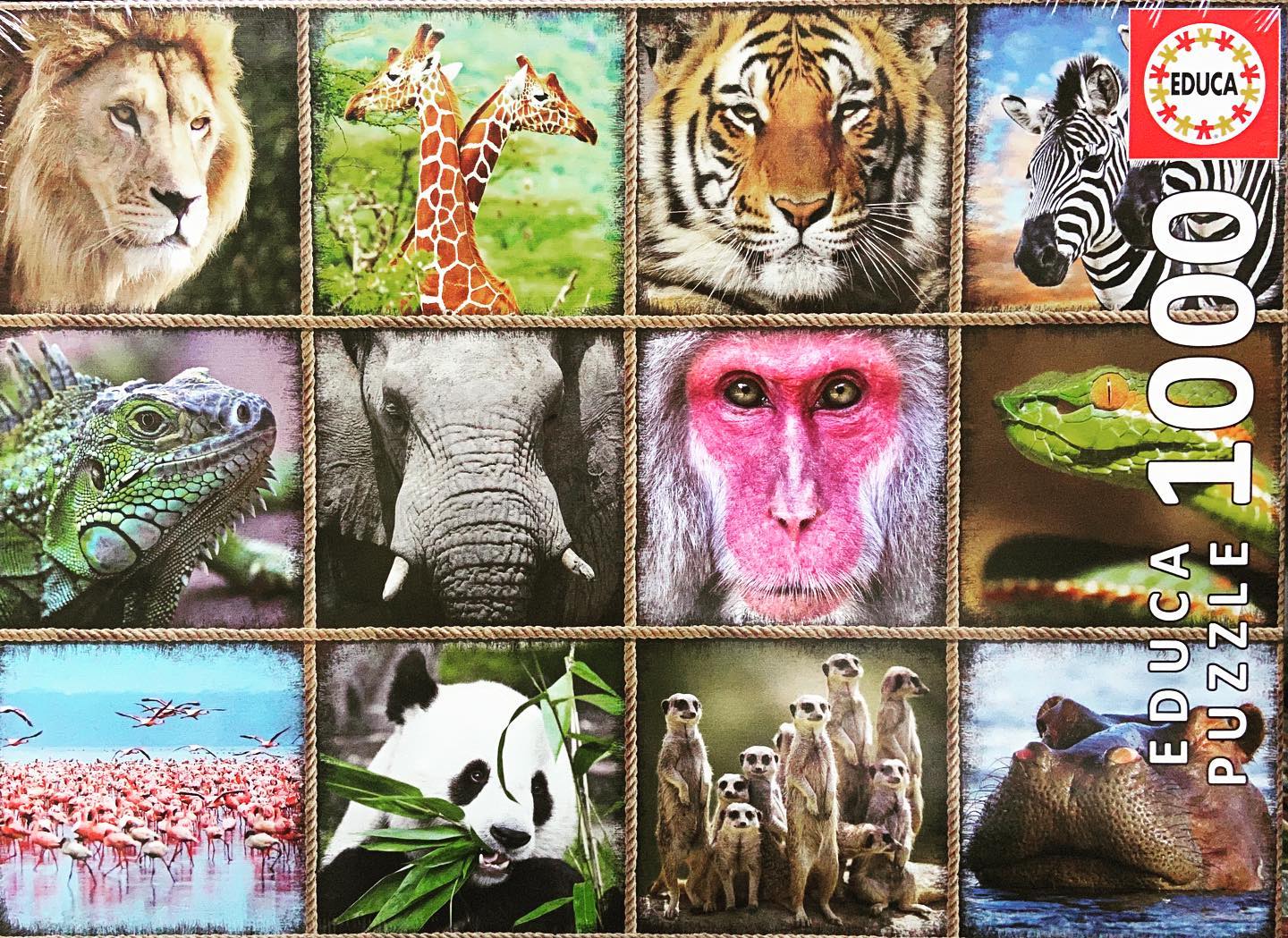 Educa Puzzle De 1000 Piezas – Animales Salvajes, Con Pegamento Fix Puzzle, Para Adultos A Partir De 14 Años