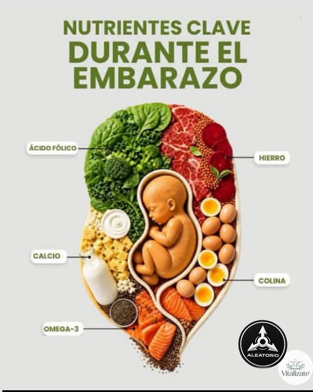 l-carnitina en el embarazo La suplementación con durante 🤰 ayuda al adecuado desarrollo del sistema pulmonar de los bebés. #FarmaciasEstrellaRoja #Carnisin #LaCarnitina #ParaEmbarazadas no artificial flavors Mountainor Glutathione Hydrogel Under Flavor:Sweet N Tart