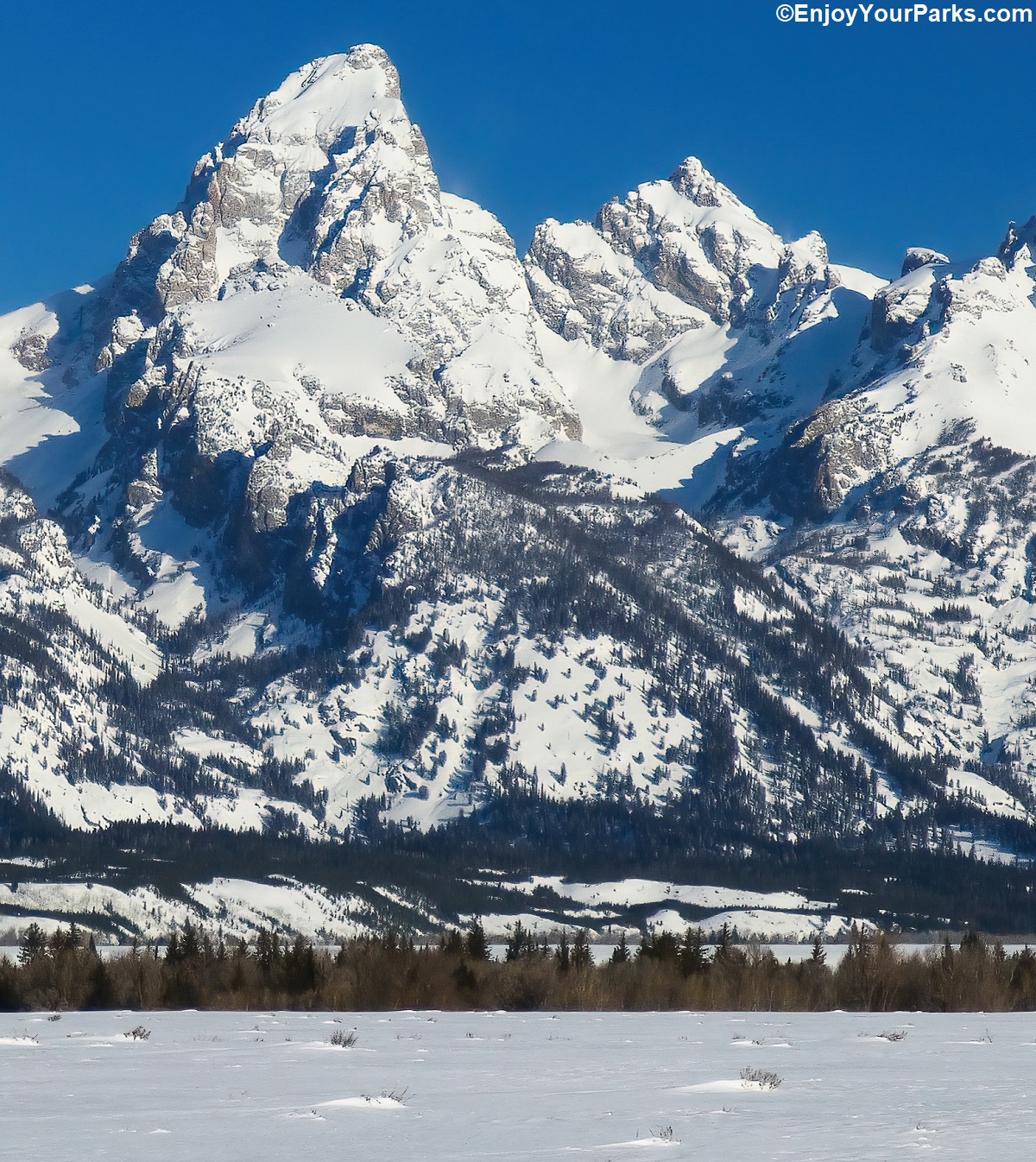 WINTER IN GRAND TETON N.P. We snapped this shot on a crystal clear