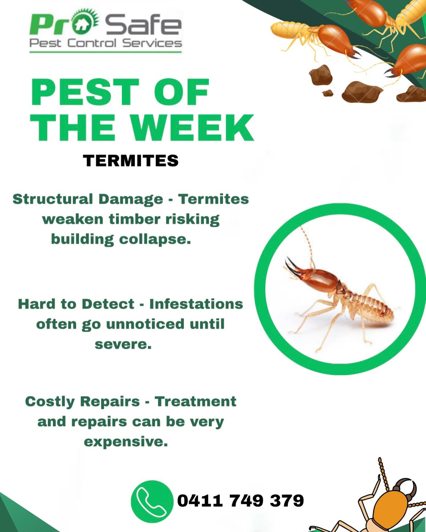 Prosafe Pest Control Services Pty Ltd | Merrylands NSW