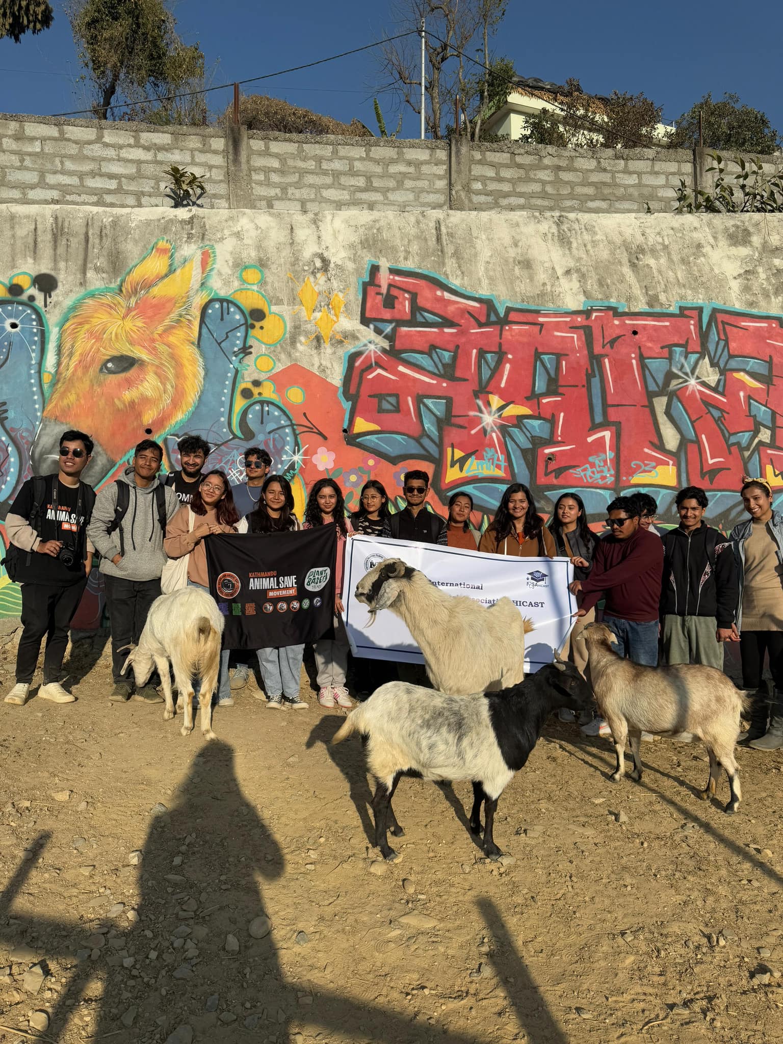 International Veterinary Students' Association Hicast - IVSA Hicast ...