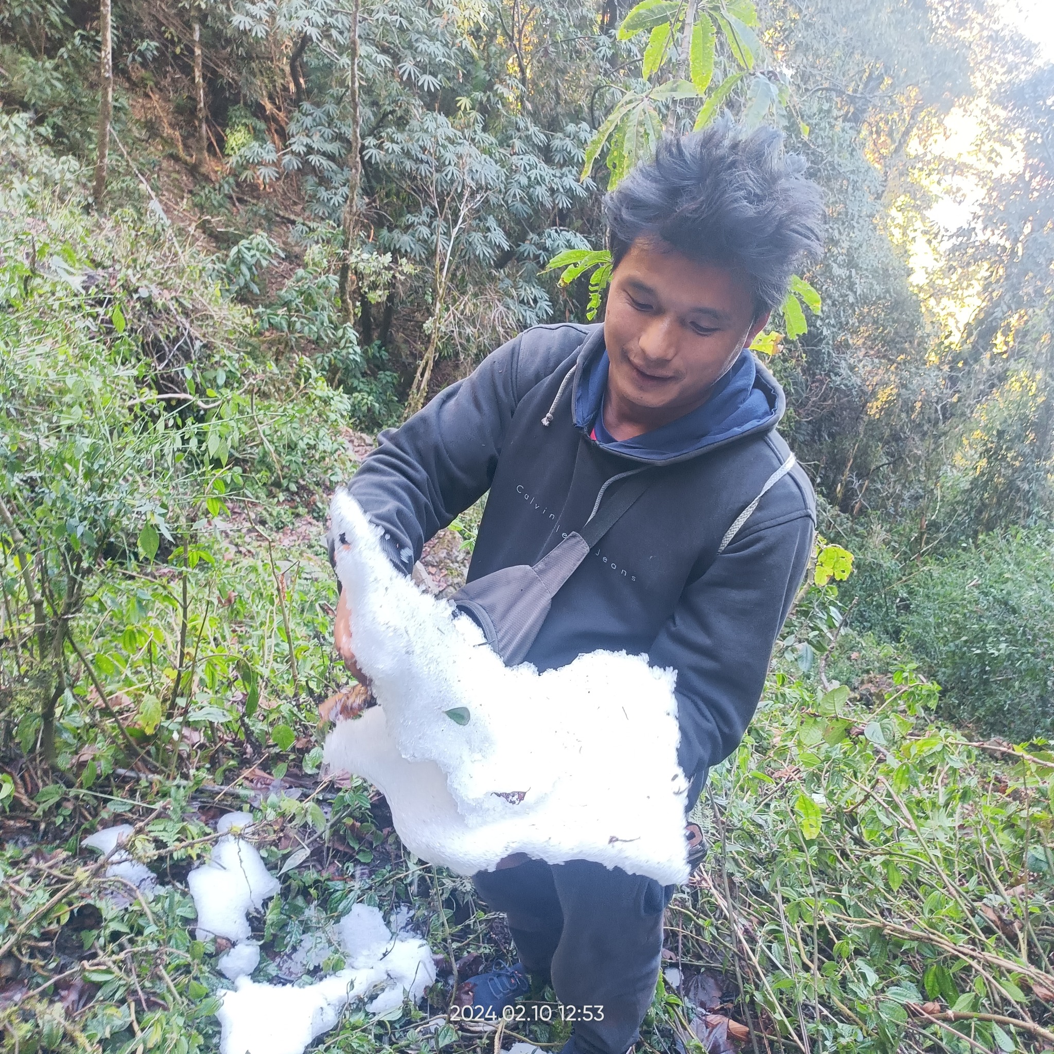 Measuring and cutting raw timber right in the heart of the forest. What ...