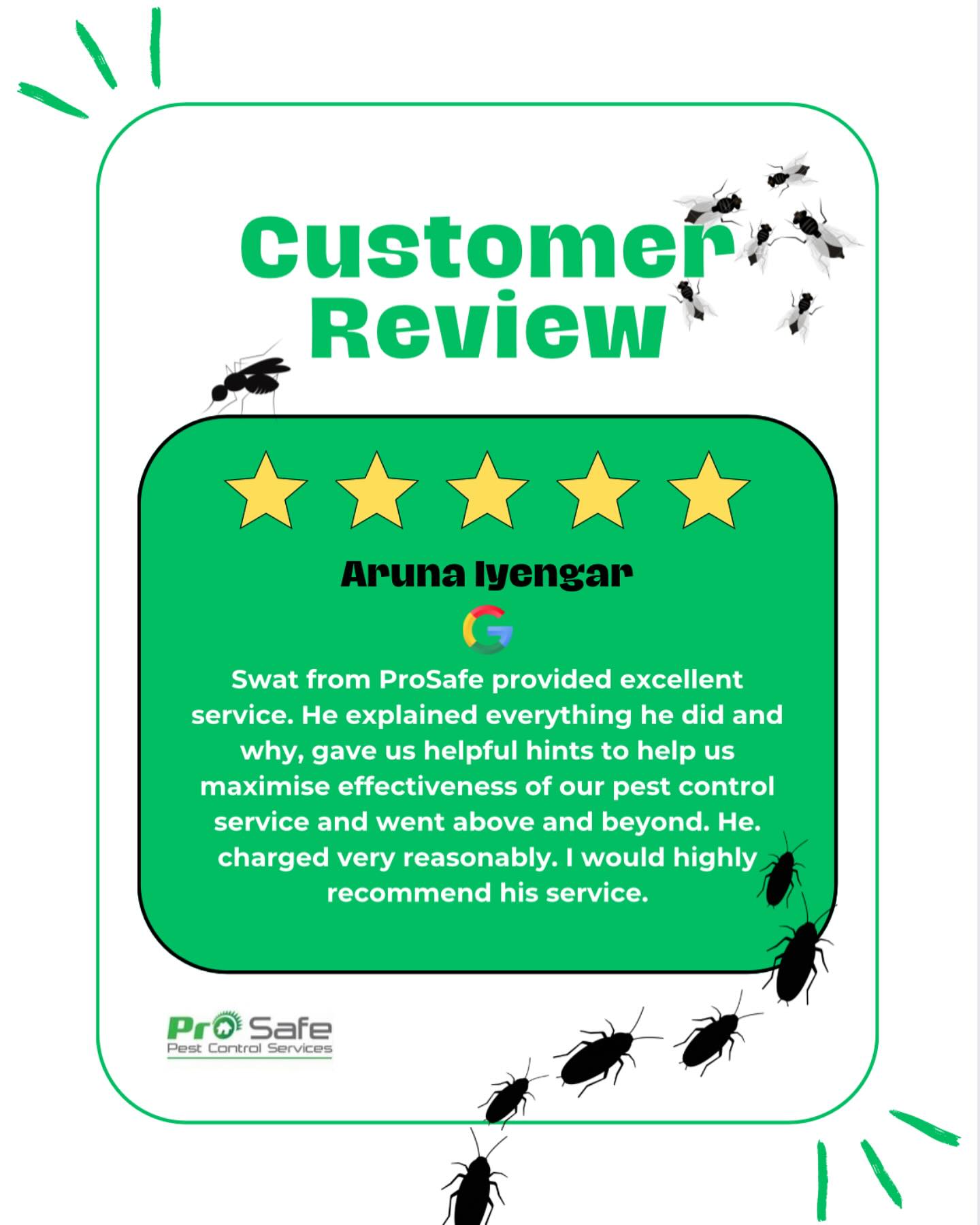 Prosafe Pest Control Services Pty Ltd | Merrylands NSW