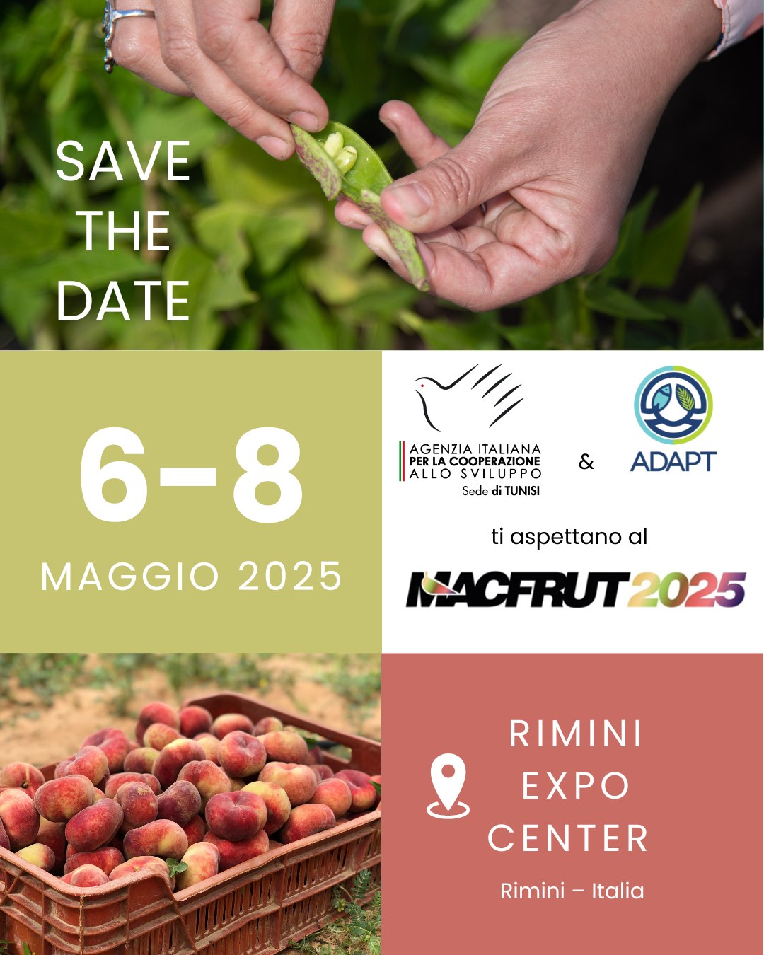 🌱 Dal 6 all’8 maggio #AICSTunisi partecipa a #Macfrut2025, al Rimini ...