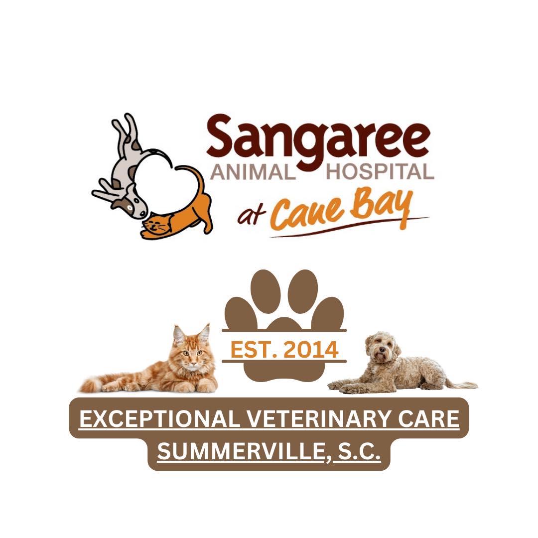 UPDATE-OWNER FOUND!... - Sangaree Animal Hospital at Cane Bay | Facebook