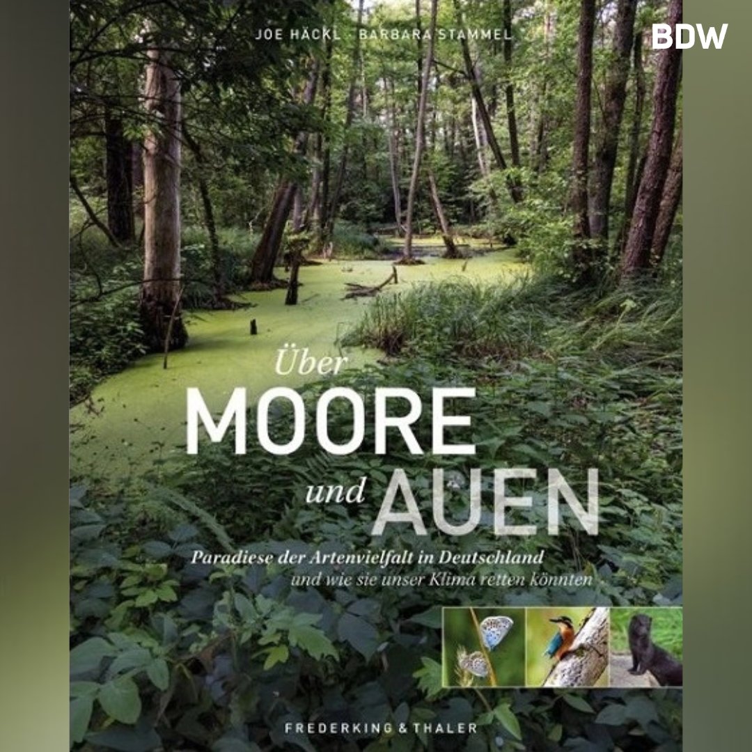 BILD - Moore und #Auen sind unentbehrliche Landschaften: als ...