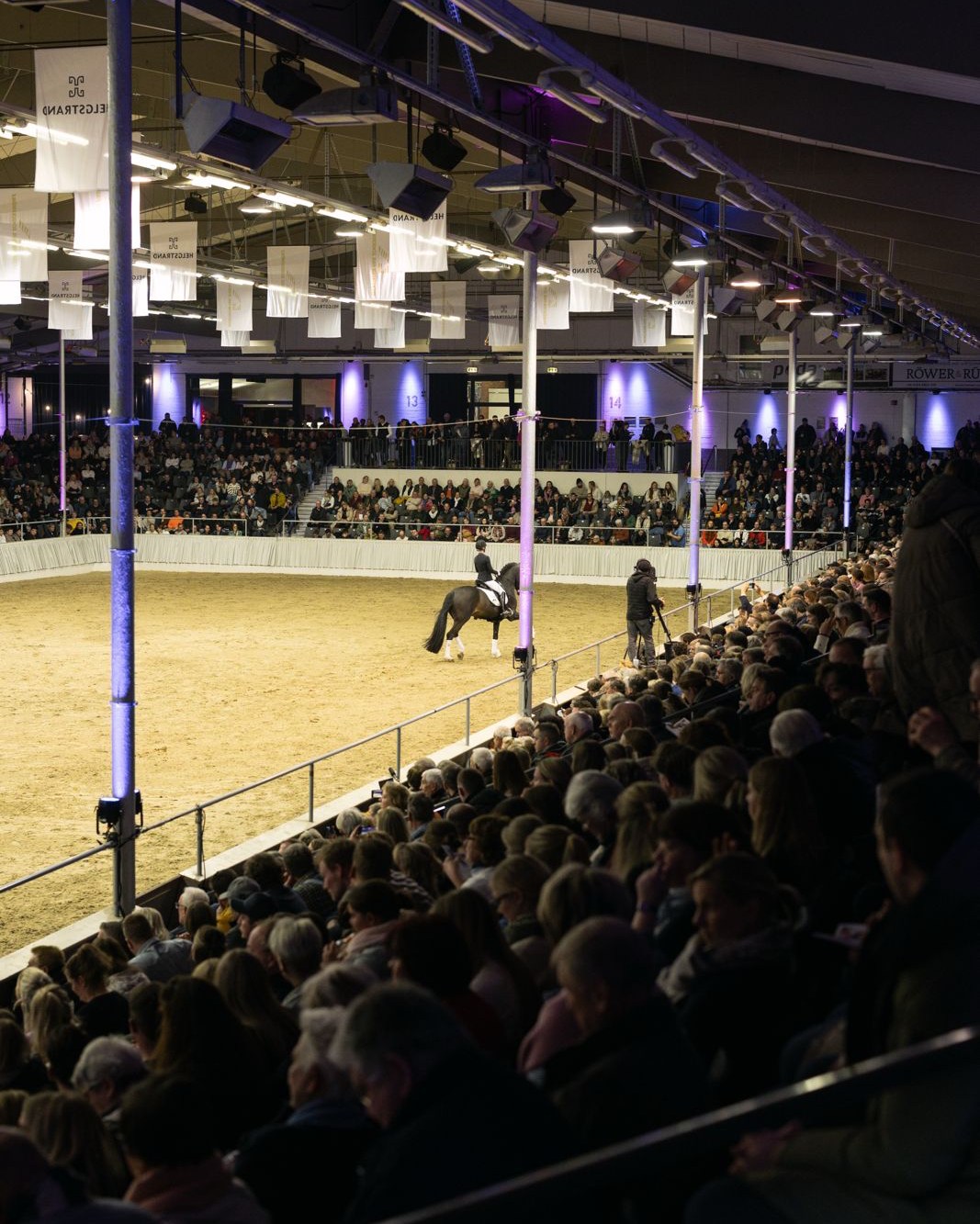 Yesterday, we kicked off the first stallion show of 2025 in Verden