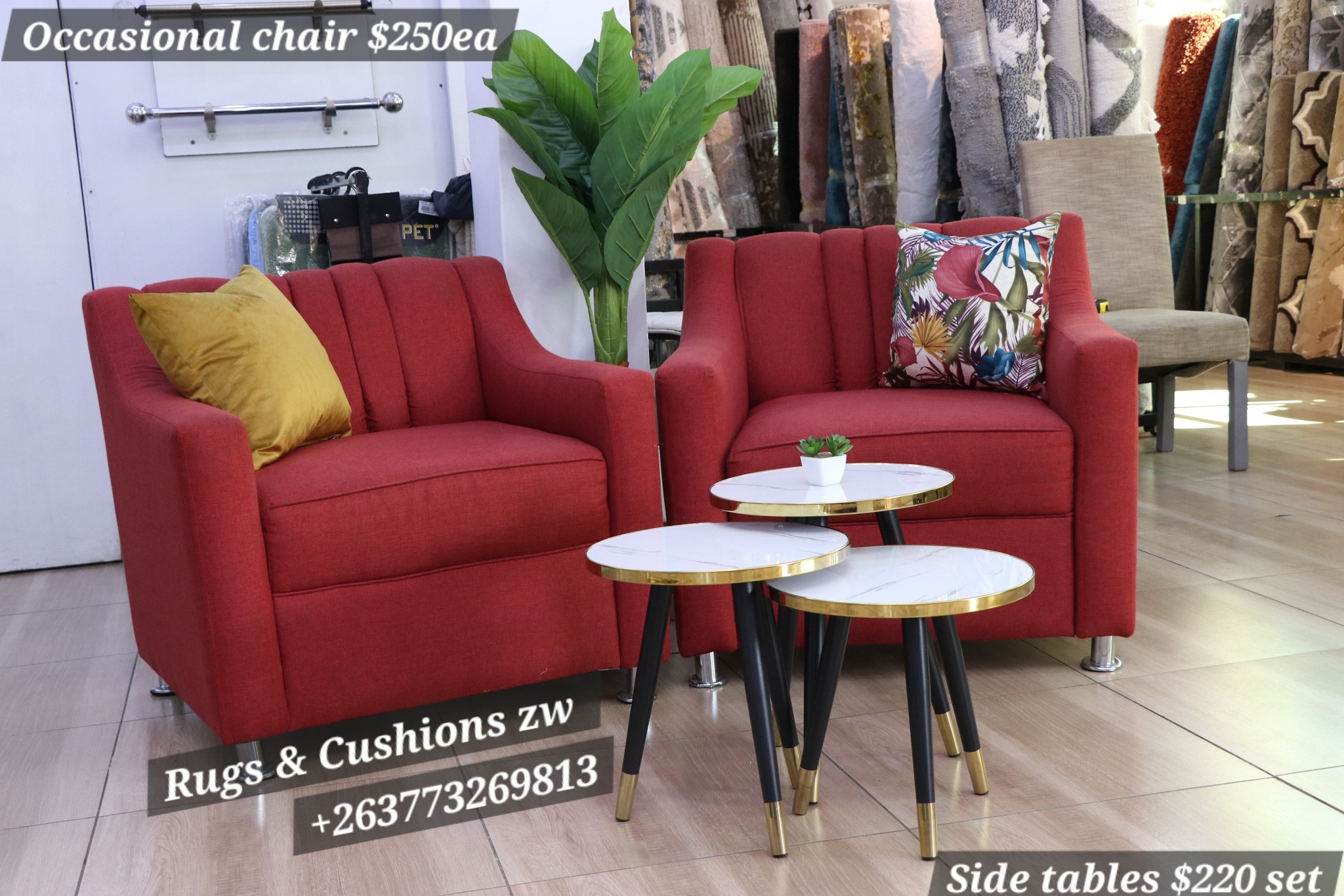 Rugs and Cushions Zimbabwe... - Rugs and Cushions Zimbabwe