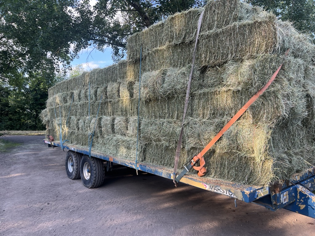 Photo inspiration: Picture Idea: Bramley 2024 Small Bale Hay For Sale If You Re