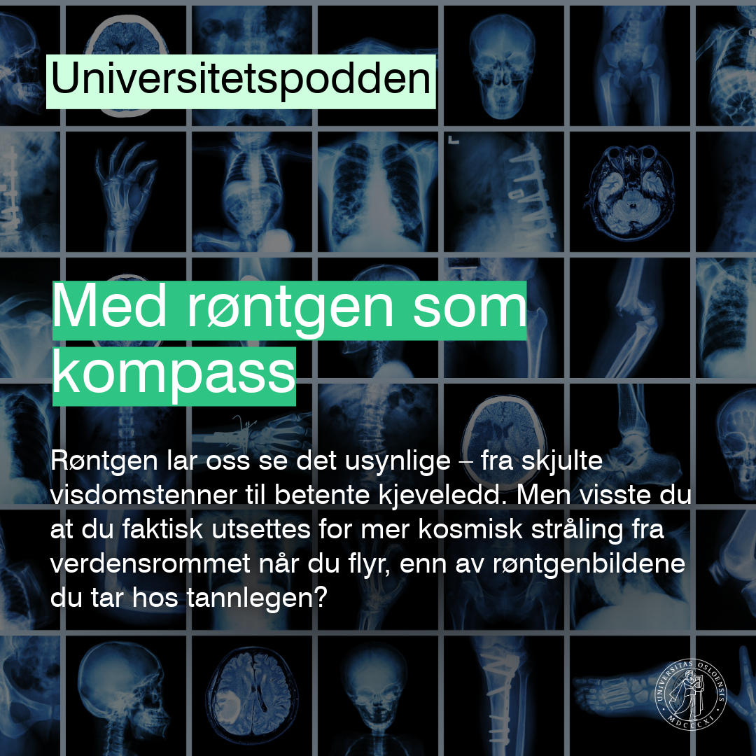 Universitetet i Oslo (UiO) - Foto: NRK | Facebook
