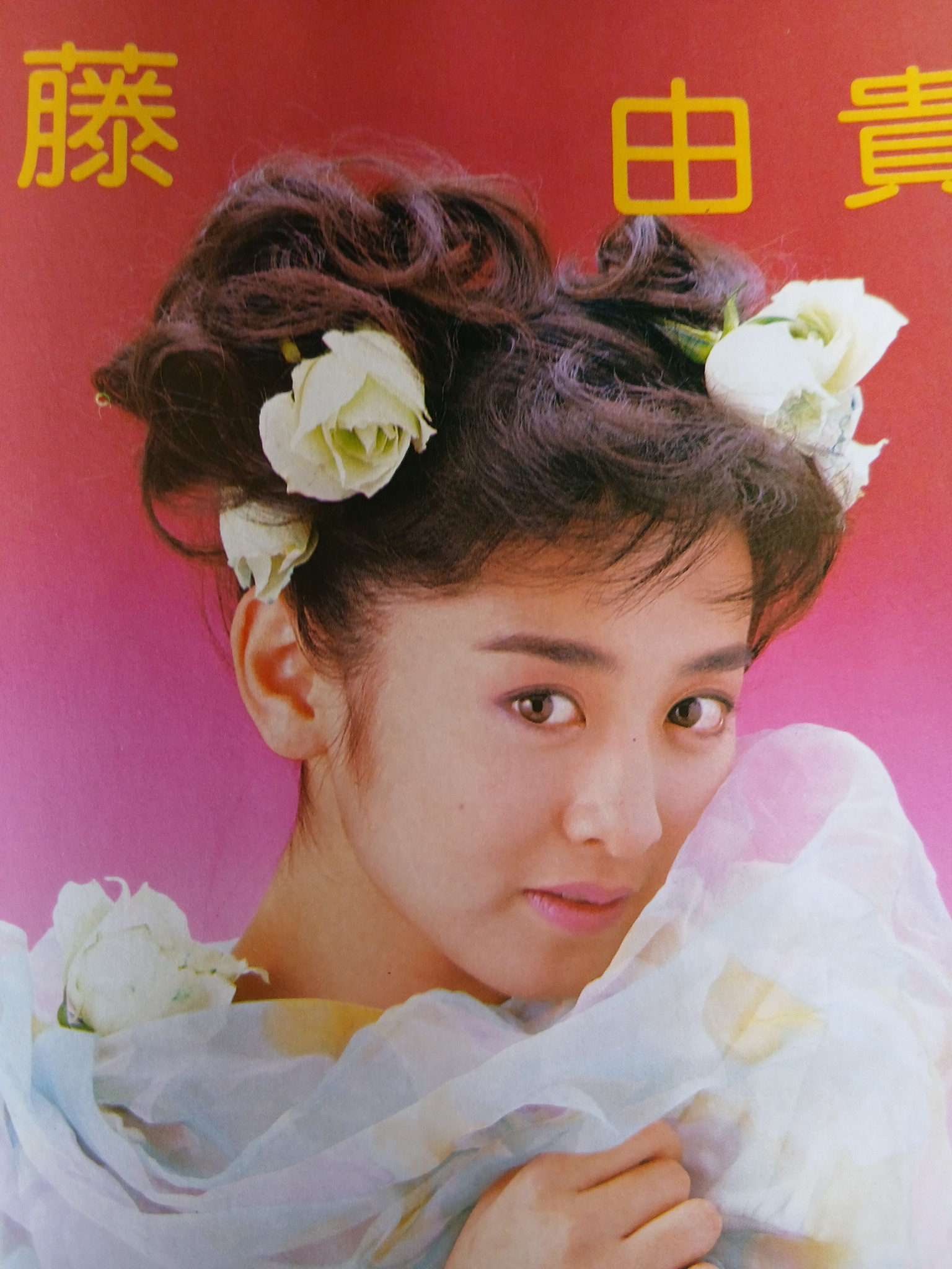 斉藤由貴 藤 貴 實