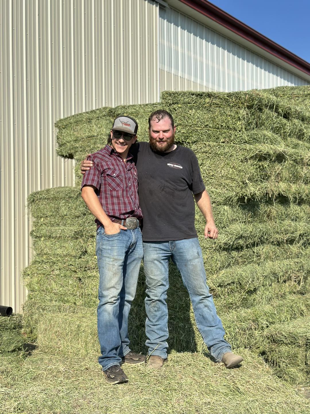 Lady - DT Harrison Enterprises (Dustin Harrison) and Leathered Longhorn ...