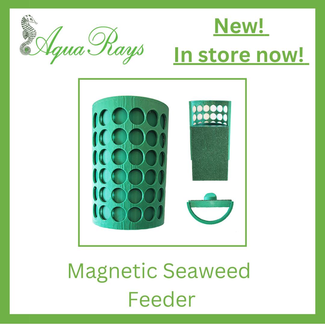 AquaRays - Seaweed feeder is now available at Aquarays and online at ...