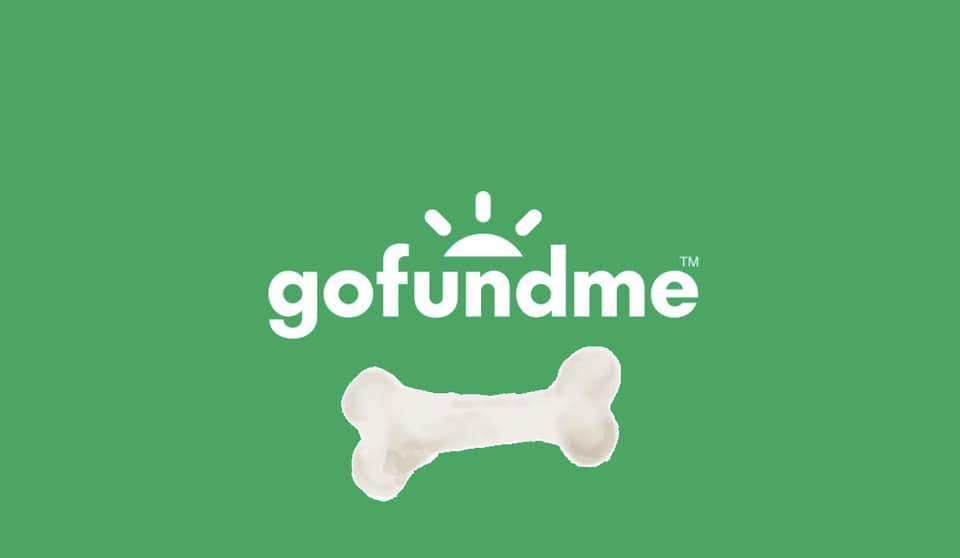 GoFundMe HELP!!! | Facebook