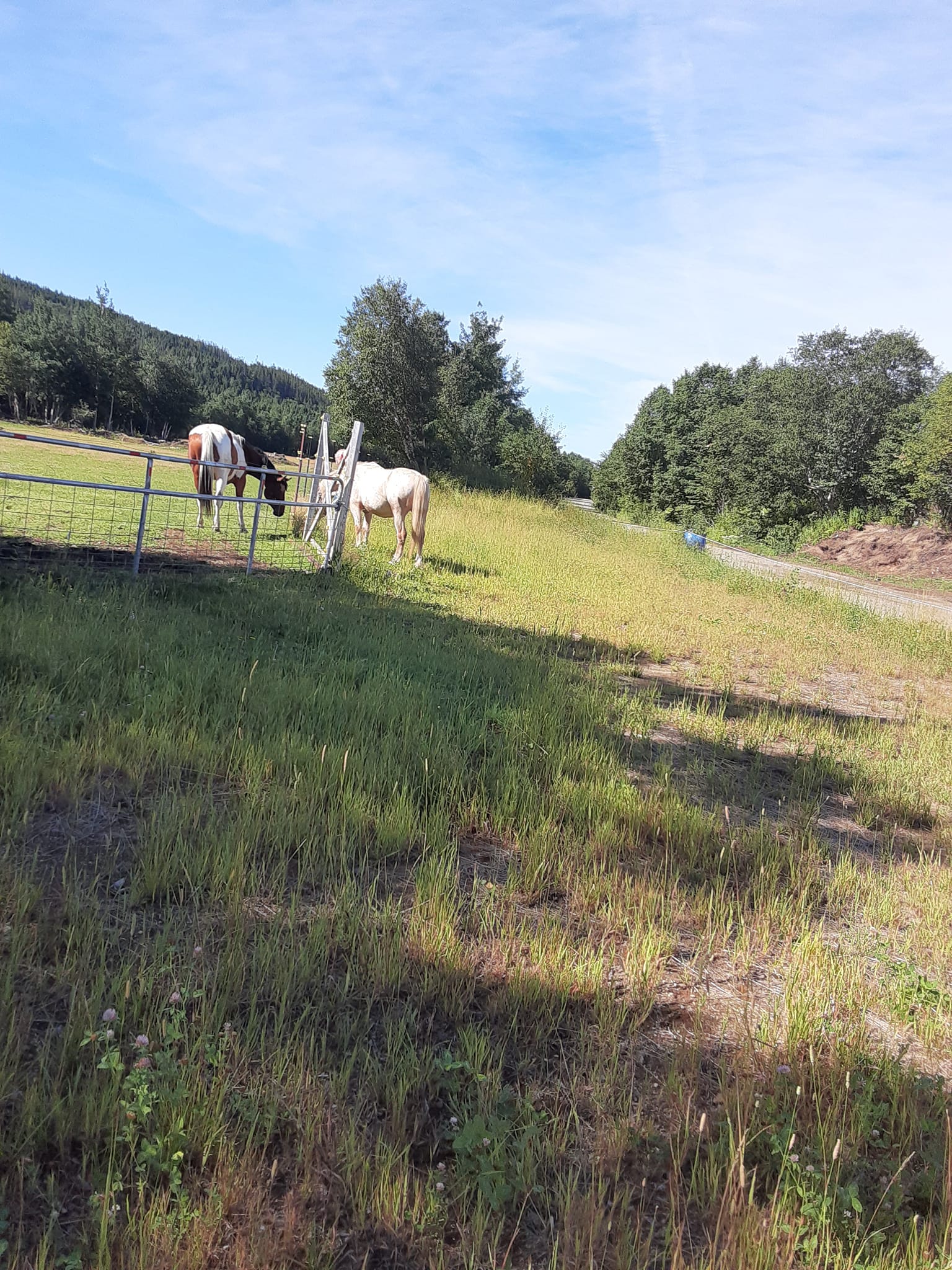 New life ranch is reaching out to... - New Life Ranch Inc.