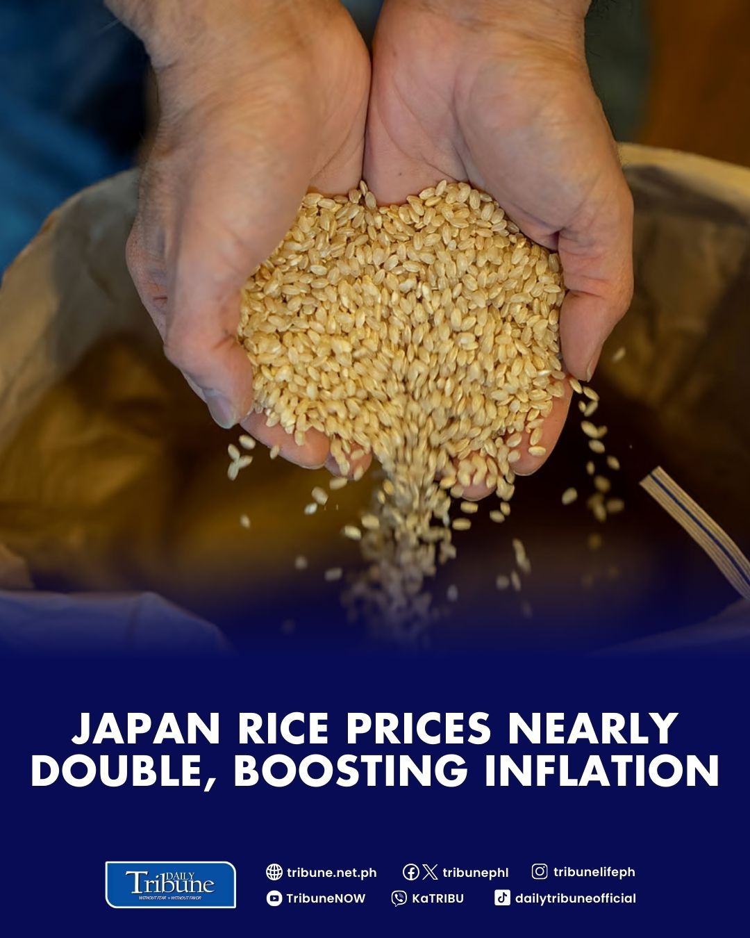 Daily Tribune - The price of rice has surged in recent... | Facebook