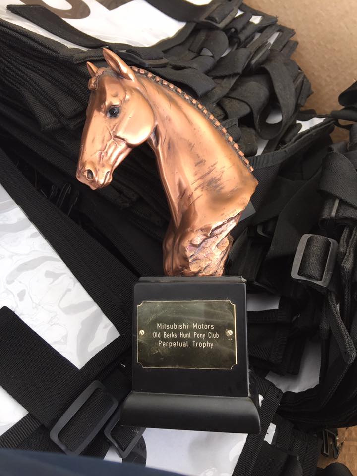 The OBHPC Mini ODE at... - Old Berkshire Hunt Pony Club
