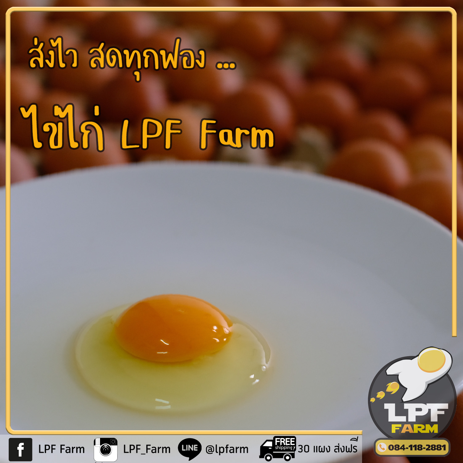 LPF Farm บริการส่งไข่ไก่ | Bangkok