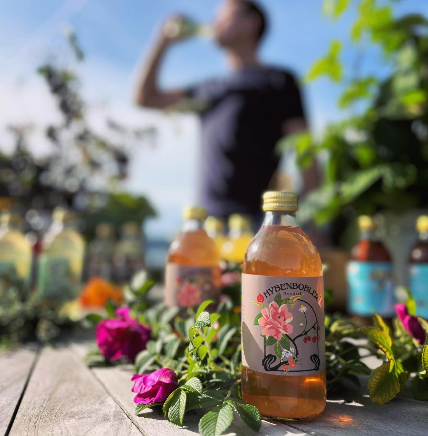 Nordisk - Har du smagt fermenteret roser og hyben? ..sikkert kun hvis ...