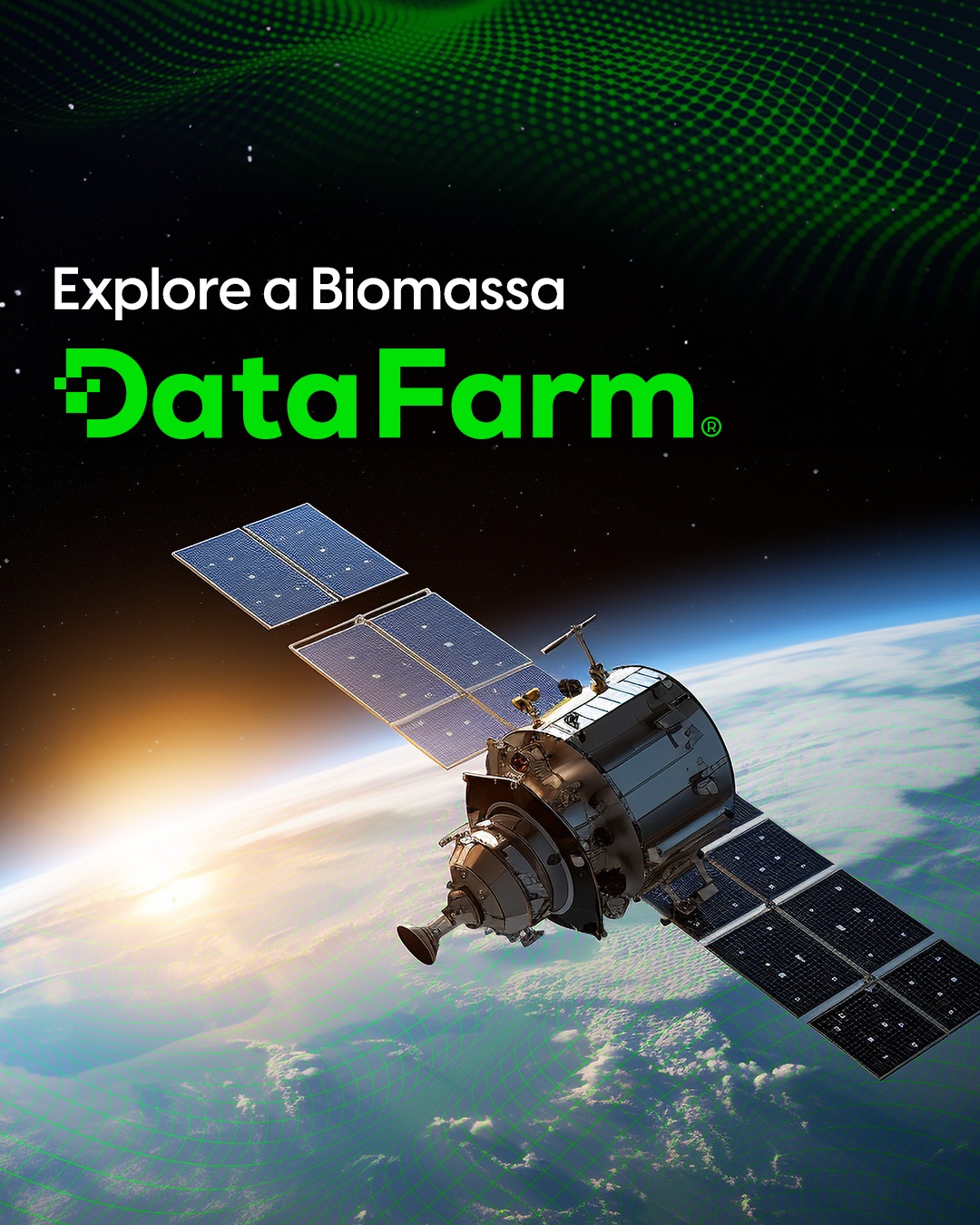 DataFarm
