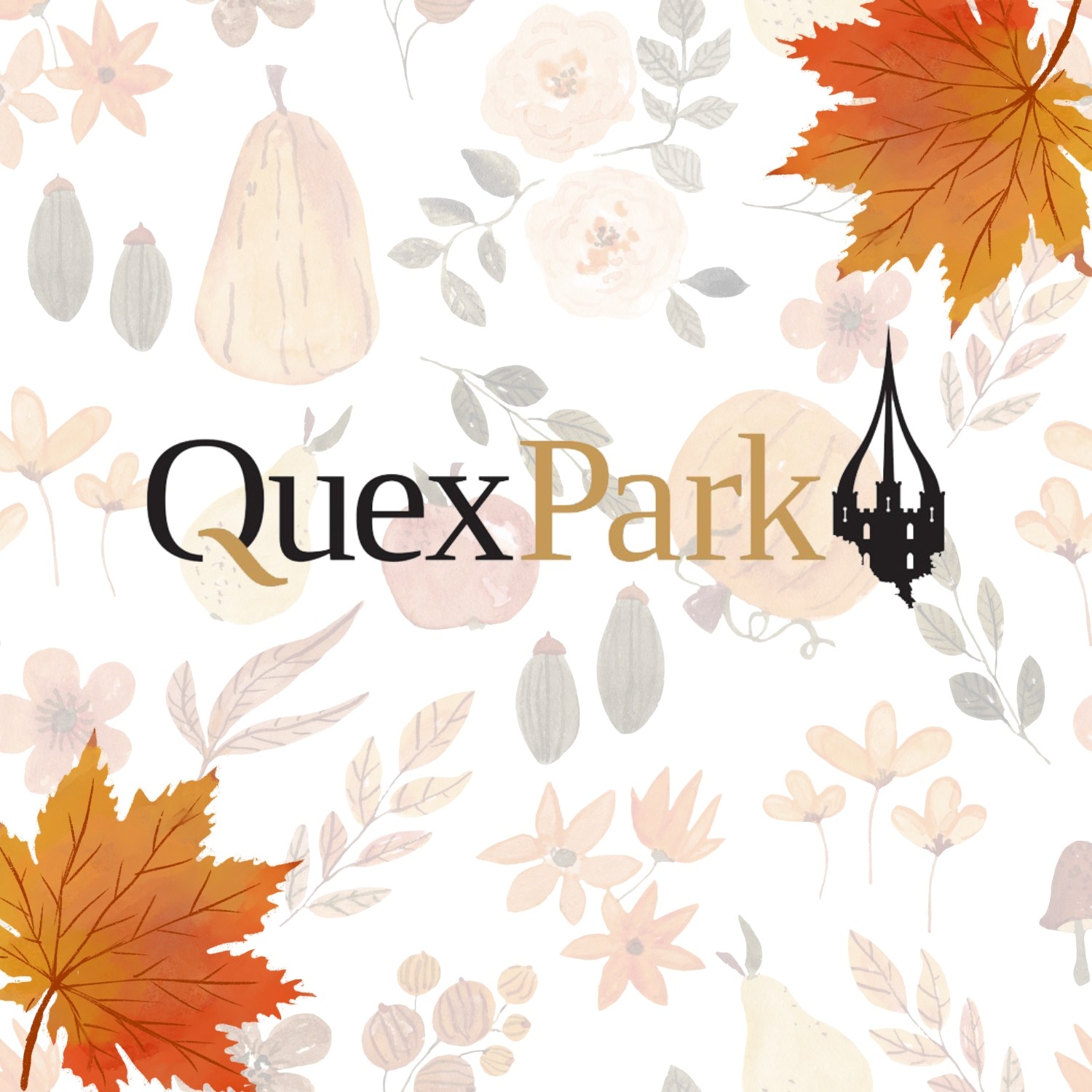 Quex park - 𝟐𝟎𝟐𝟓 𝐄𝐯𝐞𝐧𝐭𝐬 𝐚𝐭 𝐐𝐮𝐞𝐱 🎪 With it now being 2025,... | Facebook