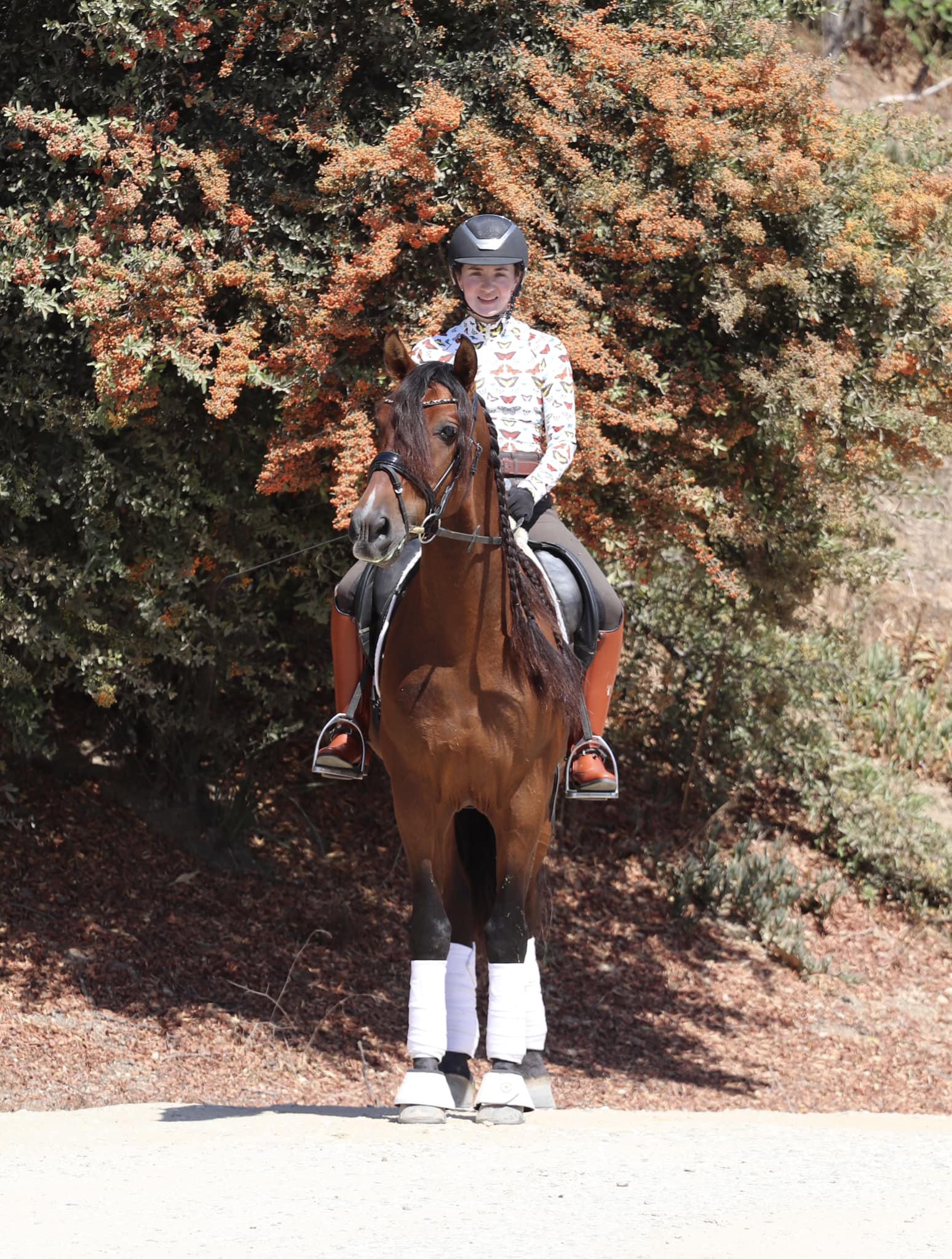 Cheval à Bâton HKM - Marron, Jouet D'équitation