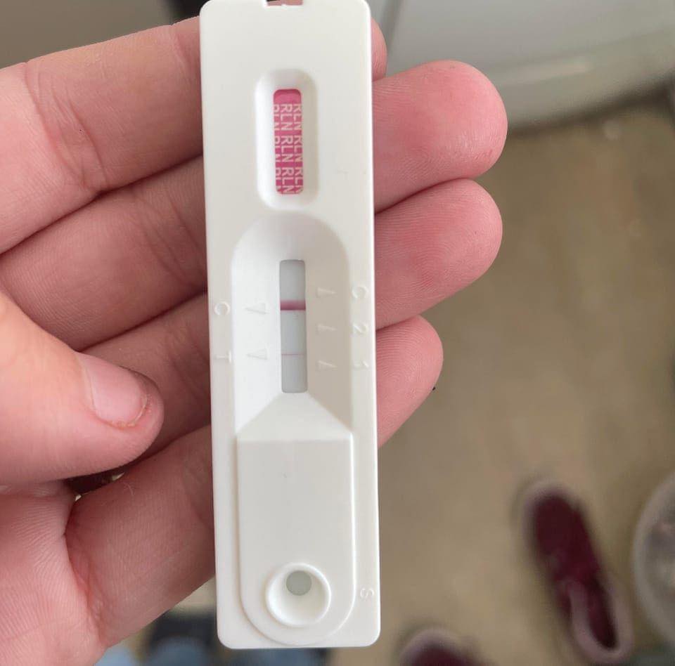 The Breeders Lab - ⚡️Worlds First URINE PREGNANCY DOG TEST 🐶 96% ...