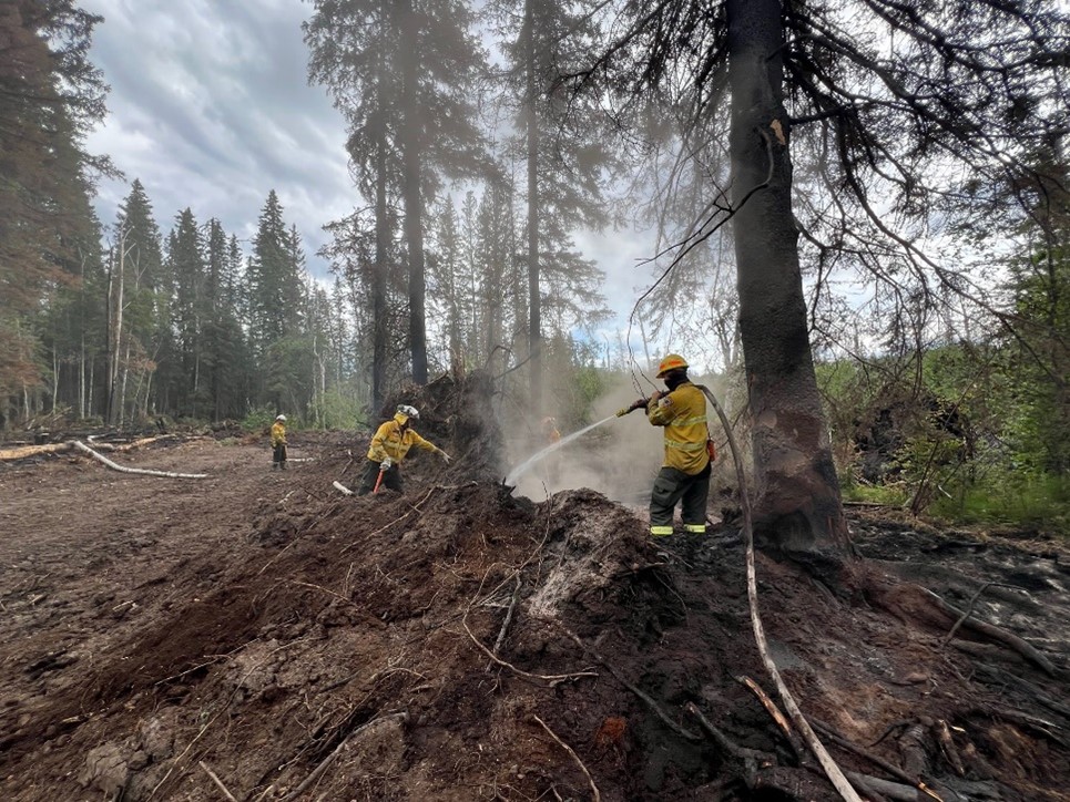 National - A team of eight South Australian firefighters from both CFS ...