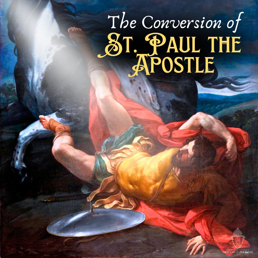 Diocese - Feast of the Conversion of St. Paul the Apostle ⁣ ⁣ 📖 St ...