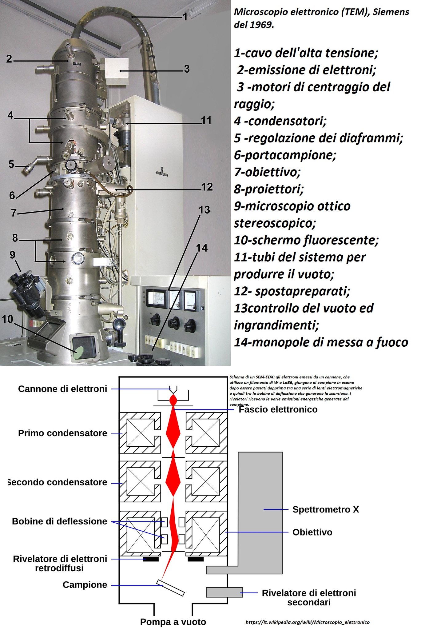Matematica - Il microscopio elettronico è un microscopio che utilizza ...