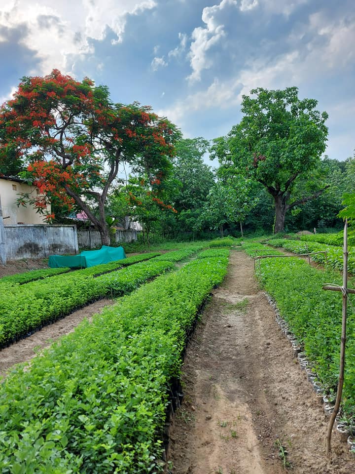 Chhatna Forest RANGE Office | Jhantipahari
