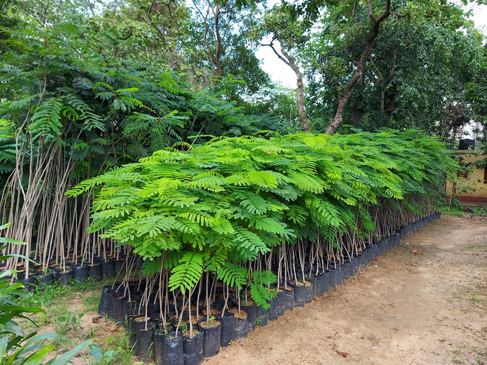 Chhatna Forest RANGE Office | Jhantipahari