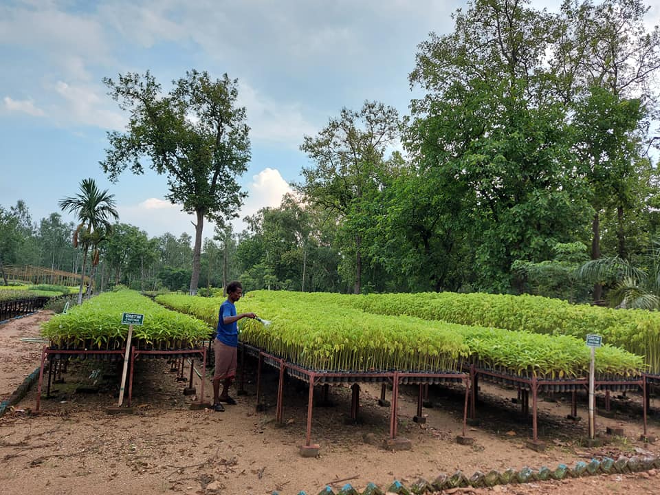Chhatna Forest RANGE Office | Jhantipahari