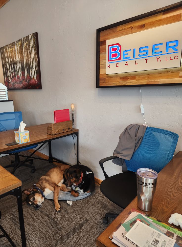 Beiser - Happy Friday! The Beiser Mascots look so excited! | Facebook