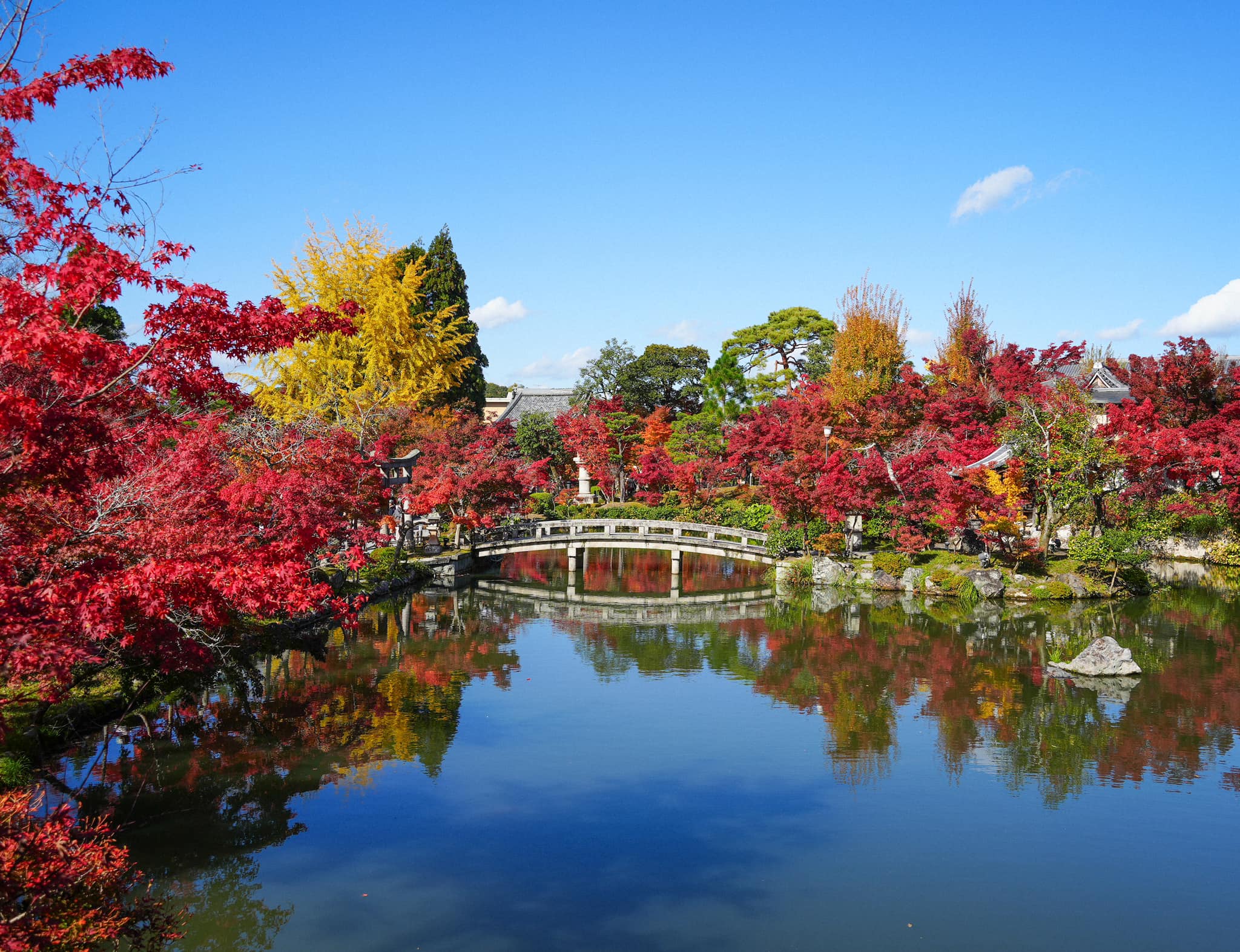 最懶少年 - 京都·永觀堂也好美好美！！ 不愧是古代貴族的莊園，真的設計的很有意境 #美圖太多留言區卡位... | Facebook