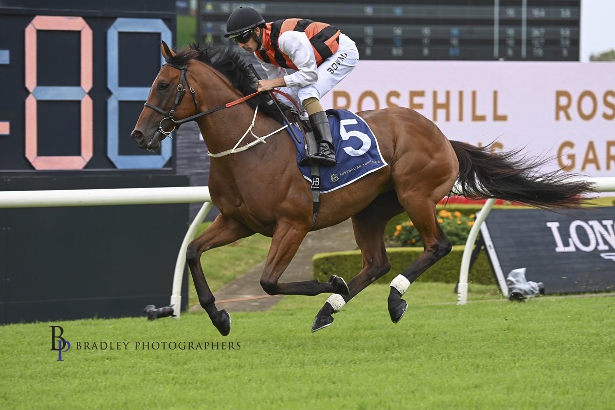 Allan Kehoe Racing Stables | Wyong NSW