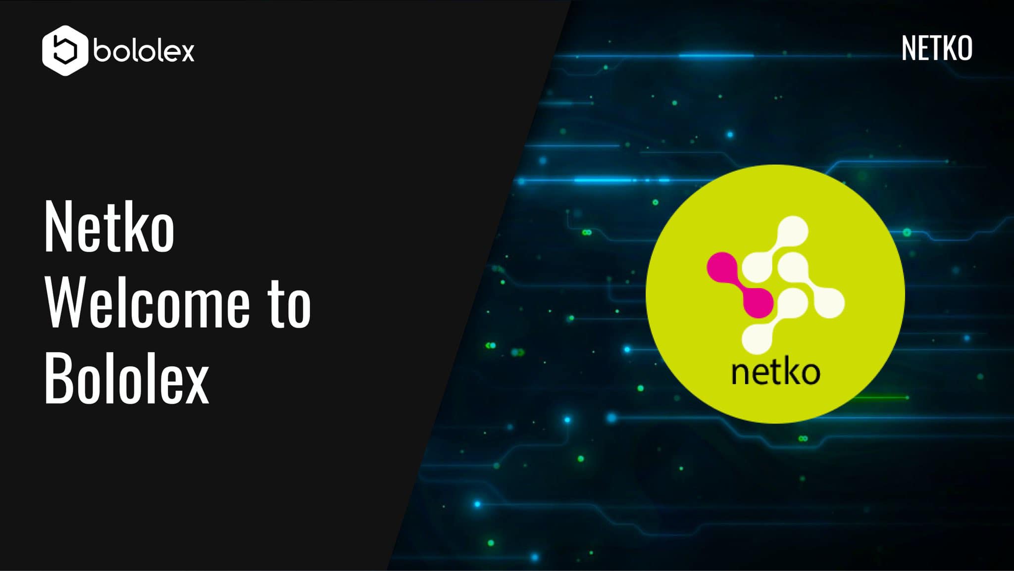 Netko - Netko.tech