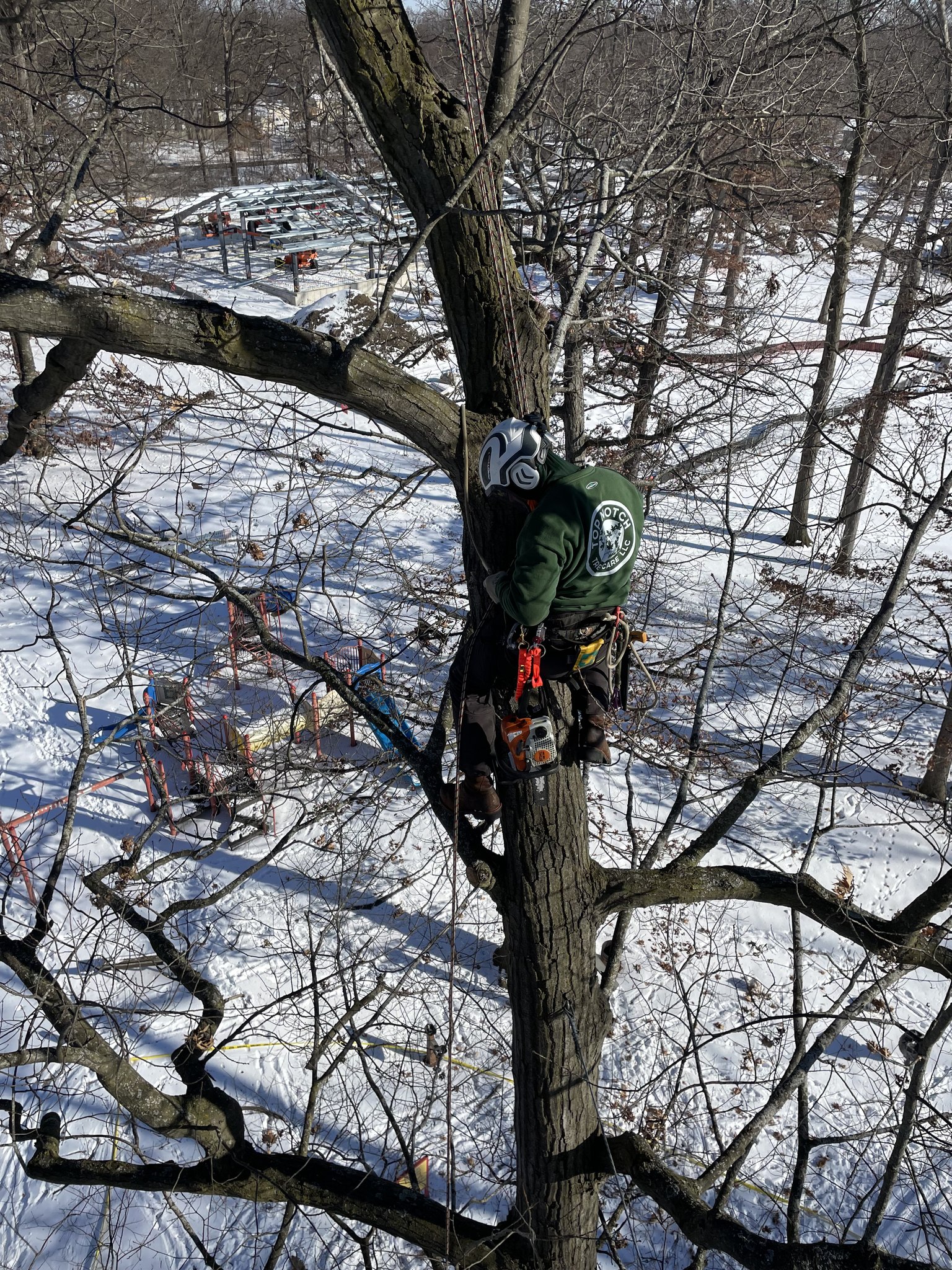 Top Notch Tree Care
