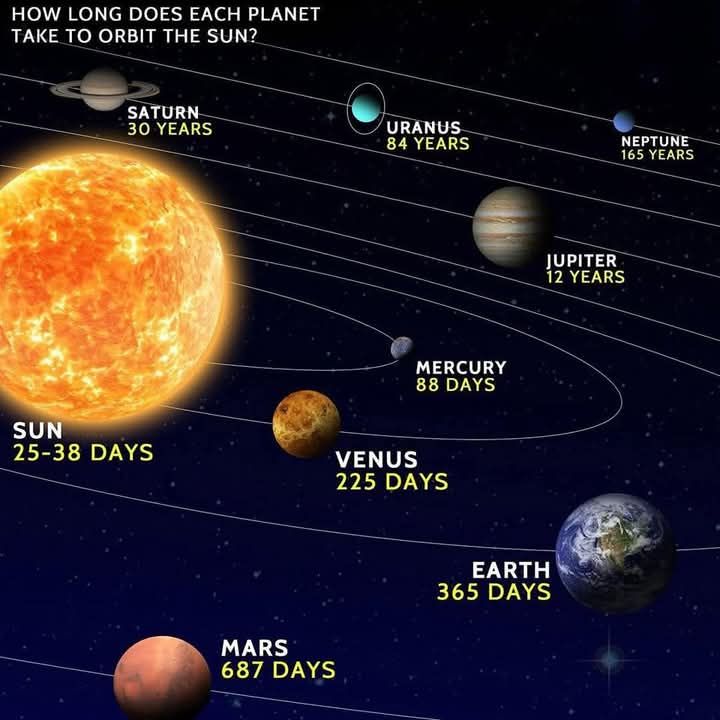 Test - 🌍☀️ Revolving Period of Every Planet in the Solar System ☀️🌍 ...