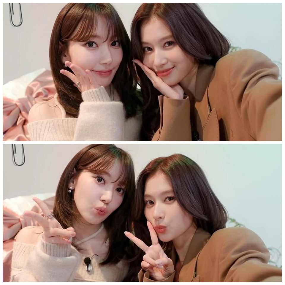 Postingan - #Sakura 🩷🐱 #Sana 🐹💜 #사쿠라 🩷🐱 #사나 🐹💜 #MiyawakiSakura # ...